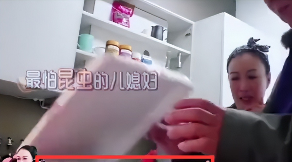 钟丽缇资产有多少钱