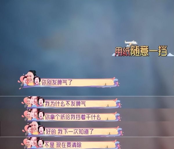 钟丽缇资产有多少钱