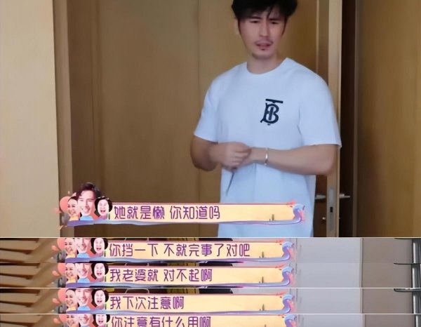 钟丽缇资产有多少钱