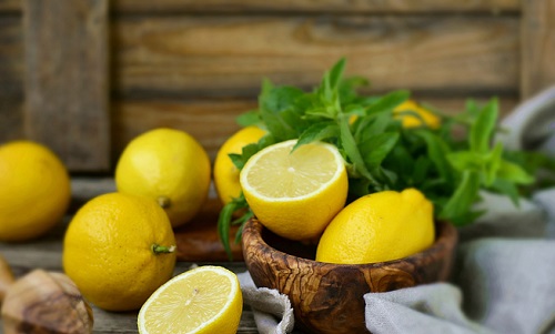 柠檬扦插生根最快方法