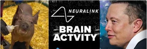 生物工程是做什么的