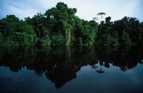 世界上最大的河是什么河