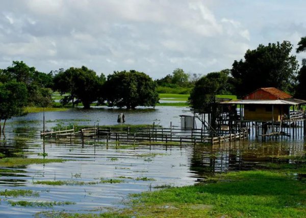 世界上最大的河是什么河