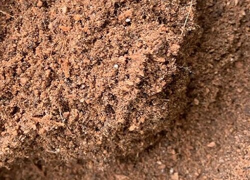 养花如何配土根系旺