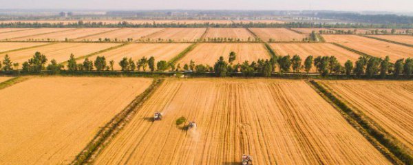 乡村游玩有哪些景点