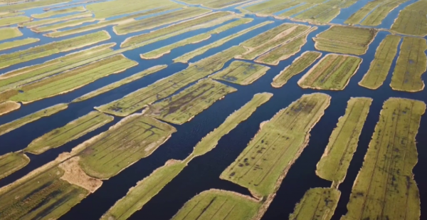 荷兰属于哪个洲的国家