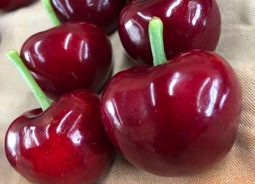 哪个品种的车厘子最好吃最甜