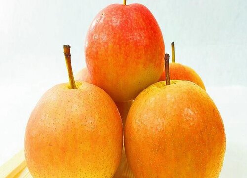 南果梨含糖量高吗