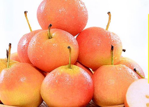 南果梨含糖量高吗