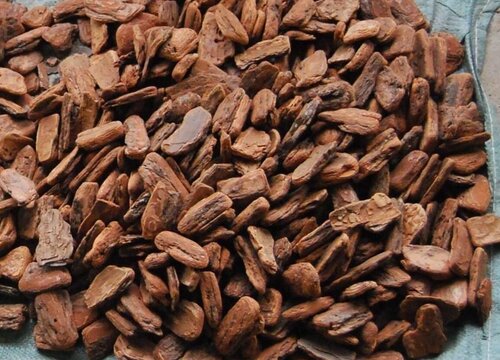 松树皮怎么养护兰花爆盆