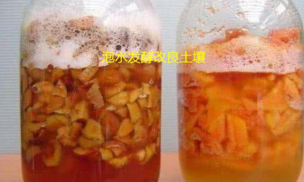 橘子皮能放在花盆里养花吗