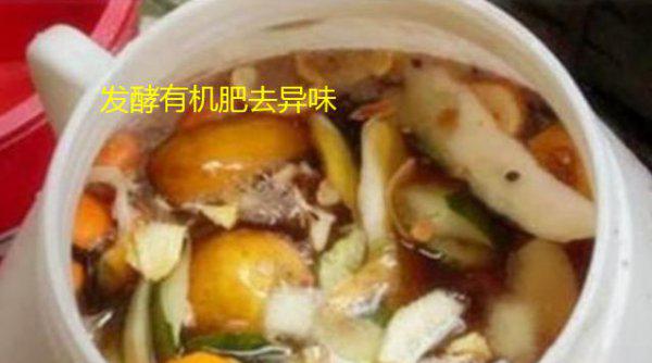 橘子皮能放在花盆里养花吗