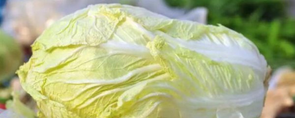 白菜帮上有黑点能吃吗