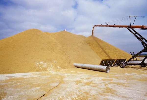 稻谷如何保存10年以上