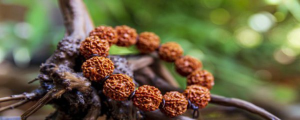 佛珠什么材质的最好