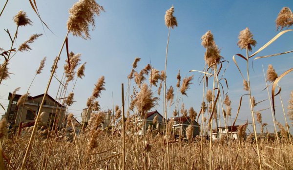 海安在哪个省哪个市