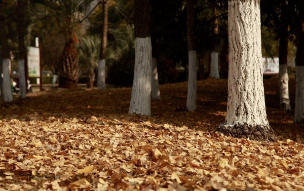 海安在哪个省哪个市