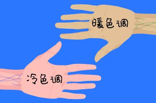 黄二白和黄一白的区别