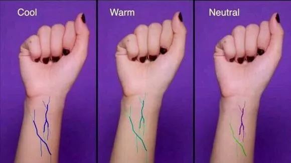 黄二白和黄一白的区别