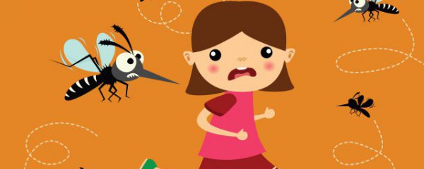 消灭小飞虫和蚊子的小妙招