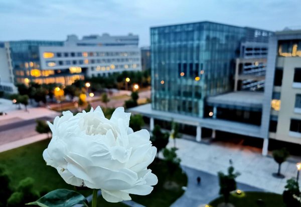 上海科技大学怎么样