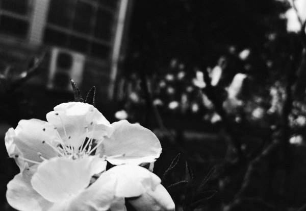 精神崩溃的表现有哪些