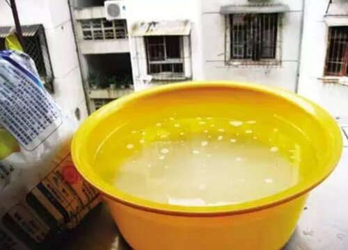 洗衣服的水可以浇花吗