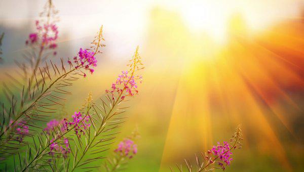 女人不理你也不回复你信息怎么办