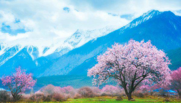 女人不理你也不回复你信息怎么办