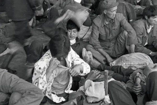 虱子的由来这是怎么长出来的