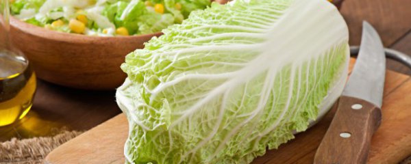 白菜如何保鲜储存不发霉呢