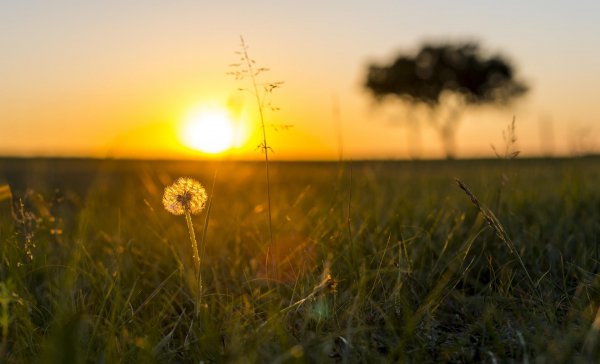 感觉自己活得很压抑很累怎么办