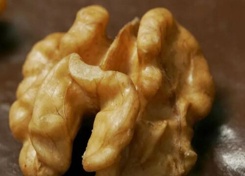 过期的核桃仁可以做肥料吗