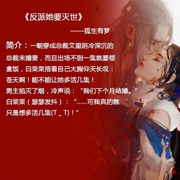 女配穿书小说推荐