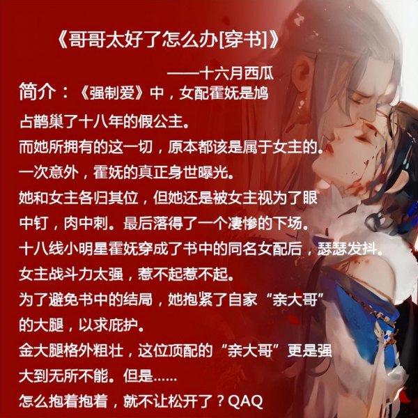 女配穿书小说推荐