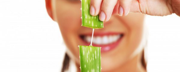 新鲜芦荟怎么放保鲜膜