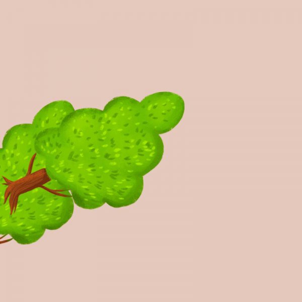 如果地球停止自转