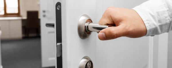 一进门摆什么花好