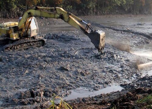 淤泥可以做肥料吗