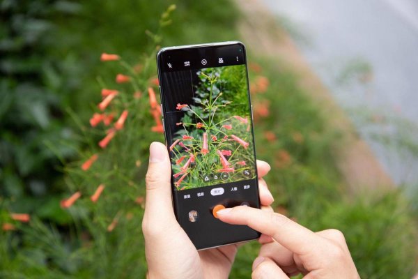 oppo最贵的手机是哪一款