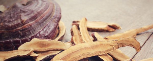 灵芝保存方法及注意事项