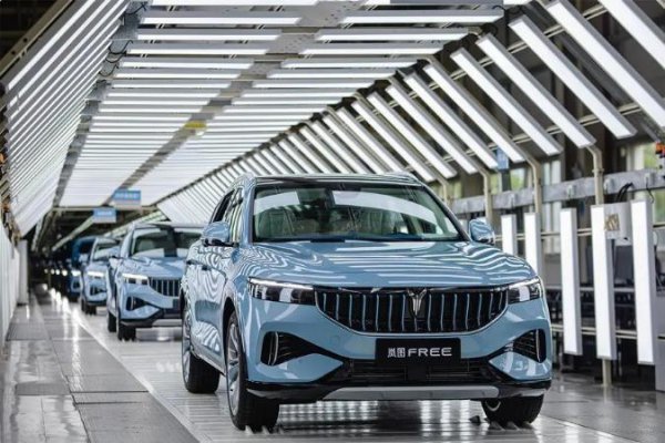 纯电动汽车哪个牌子好