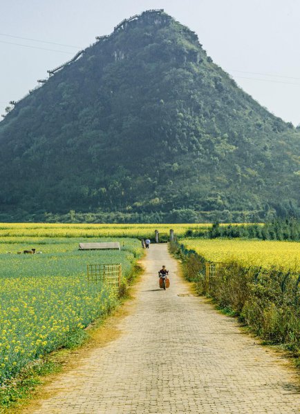 最适合居住的城市排名