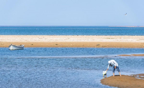 最适合居住的城市排名