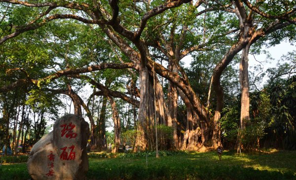 瑞丽是哪个省的城市呀