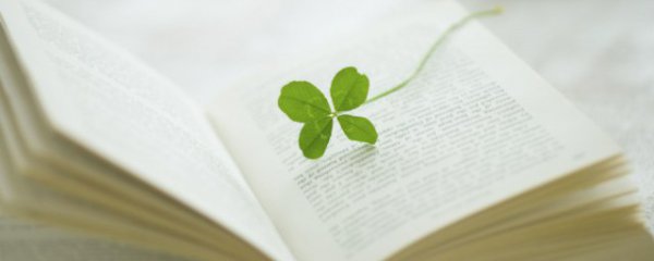 感恩节旅行的句子