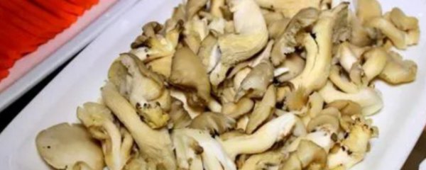 鲜菇发黄了还能吃吗