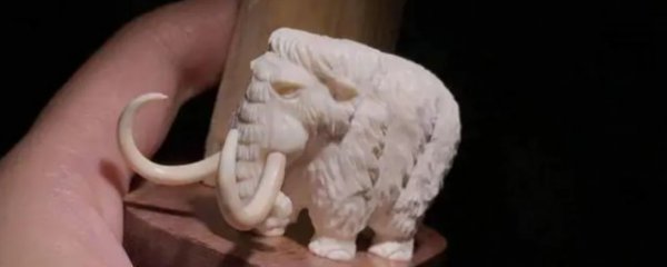 如何鉴别象牙的真假