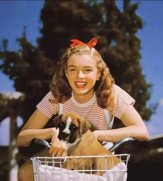 世界上最好看的女人有谁