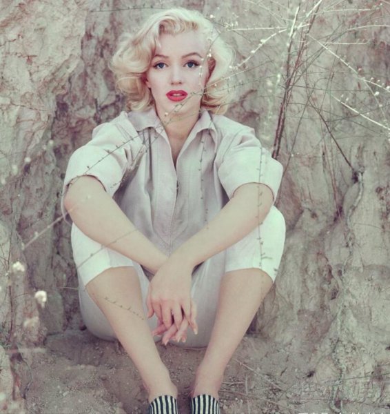 世界上最好看的女人有谁